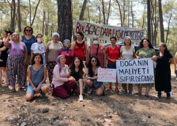 Akbelen’de yaşamı yok ediyorlar: Bu savaş demektir