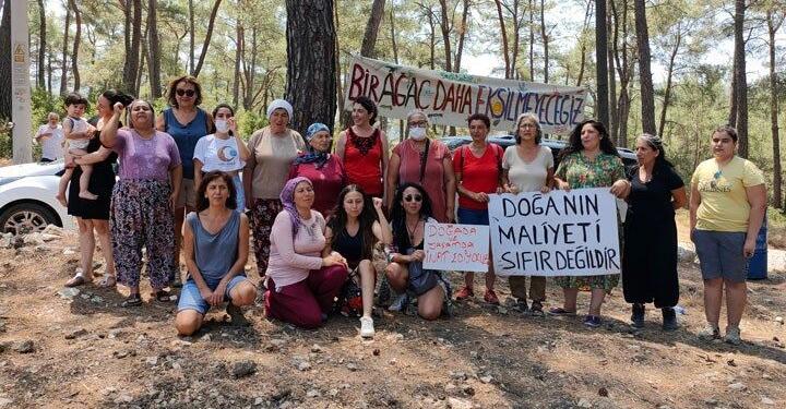 Akbelen’de yaşamı yok ediyorlar: Bu savaş demektir