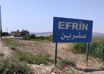 İnsan Hakları Örgütü: Efrin’de talan, saldırı ve katletme sürüyor