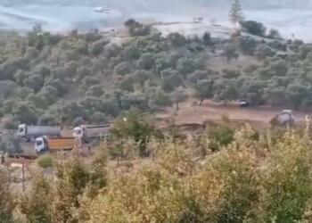 Akbelen’de yeni bir orman kıyımı başladı