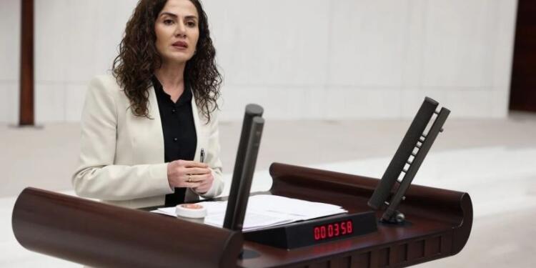 Ekin Wan önergesi iade edildi; gerekçe ‘şahsi görüş’
