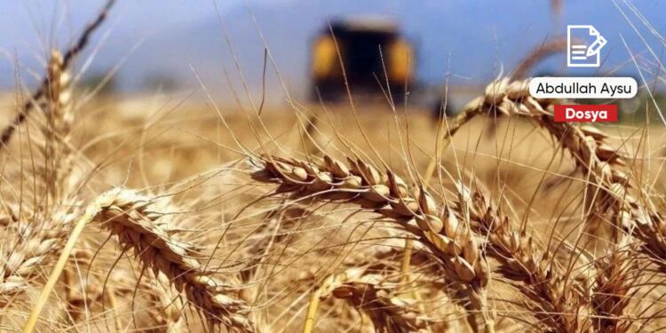 Tarım: Yaşam küçülürken sermaye büyüyor