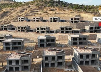 Zinnar’da yıkılan sadece ağaçlar değil: Kadınların doğa, hafıza ve mekanına müdahale