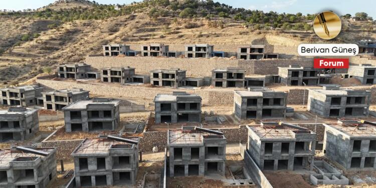 Zinnar’da yıkılan sadece ağaçlar değil: Kadınların doğa, hafıza ve mekanına müdahale