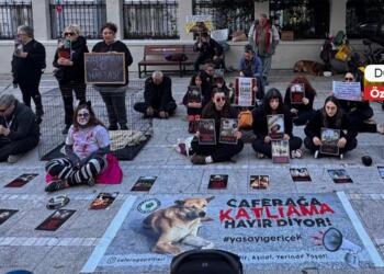 ‘Yaşam hakkı güvencede olmadan adalet de barış da olmaz’