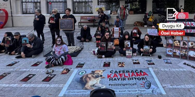 ‘Yaşam hakkı güvencede olmadan adalet de barış da olmaz’