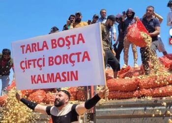 OVP’nin tarım öngörüsü: Hiçbir şey