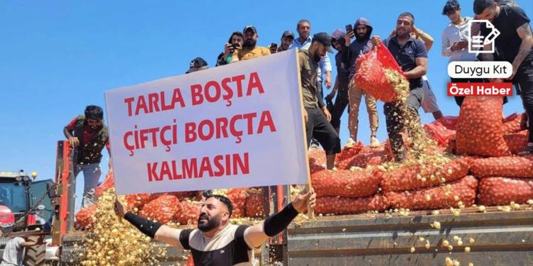 OVP’nin tarım öngörüsü: Hiçbir şey