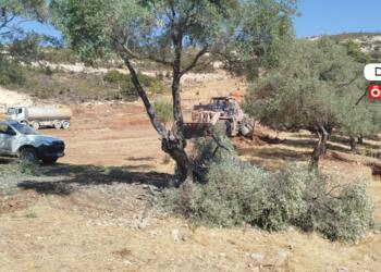 Limak’ın Akbelen’deki bir sonraki adımı acele kamulaştırma mı?