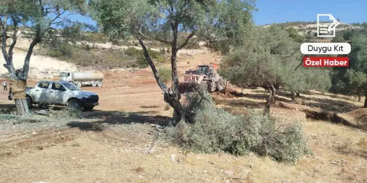Limak’ın Akbelen’deki bir sonraki adımı acele kamulaştırma mı?