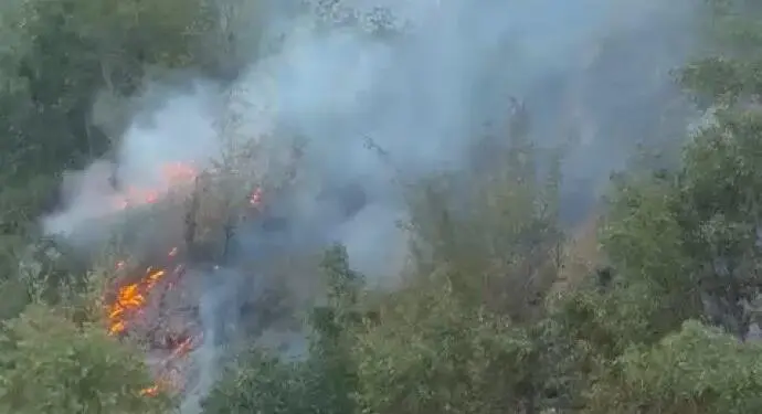 Şemzînan’da orman yangını