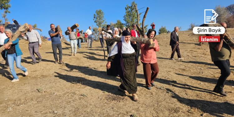 Yok olan sadece ağaç değil, hafıza…