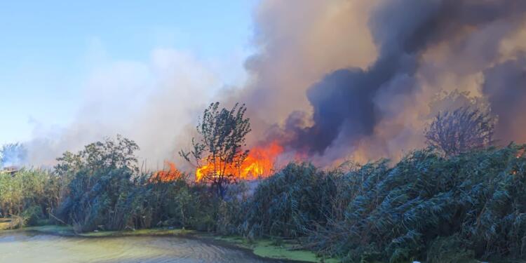 Adana’da işçilerin kaldığı çadırda yangın