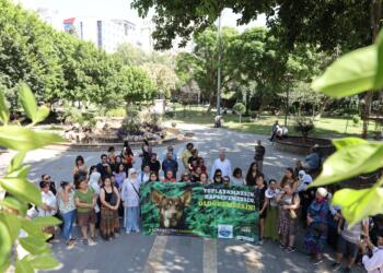 ‘Sokak hayvanlarının toplatılmasını durdurun’