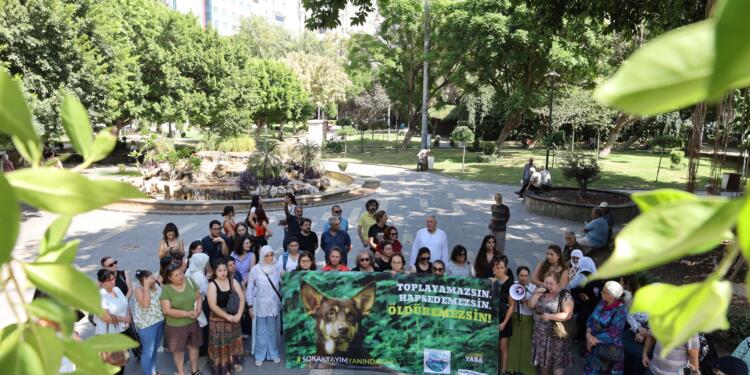 ‘Sokak hayvanlarının toplatılmasını durdurun’