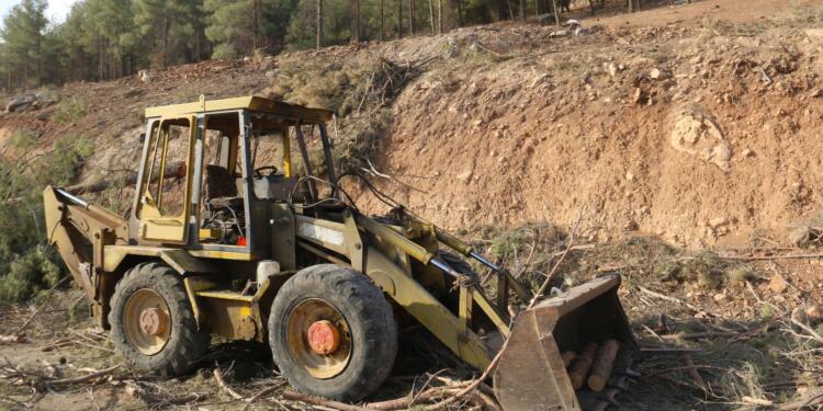 Semsûr’da yol için ağaç kıyımı yapılıyor