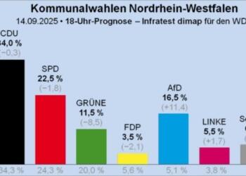 Almanya’nın batısında aşırı sağcı AfD yükselişte