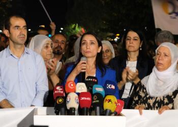 Hatimoğulları: Sürecin sağlıklı yürümesi için yasal düzenlemeler gerçekleşmeli