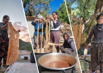 Pasûr’da bağbozumu mevsimi