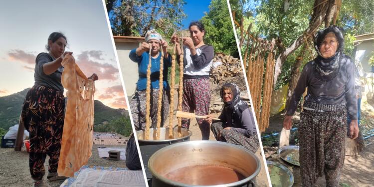 Pasûr’da bağbozumu mevsimi