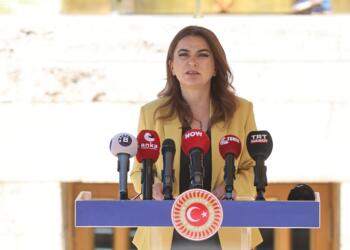 Koçyiğit: Komisyon İmralı ile doğrudan temas kurulmalı