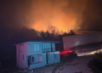 Antalya ve Muğla’da ormanlık alanda yangın: Bazı evler tahliye edildi