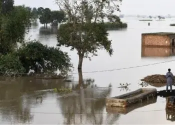 BM: Su döngüsündeki bozulma gıda kıtlığı ve göçü tetikliyor