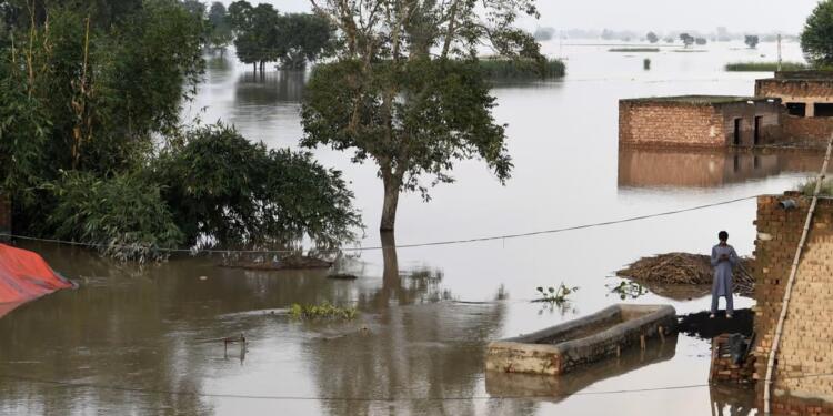 BM: Su döngüsündeki bozulma gıda kıtlığı ve göçü tetikliyor