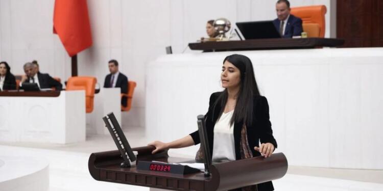 Tahliyesi 6 kez ertelenen Nedime Yaklav için Meclis’te soru önergesi