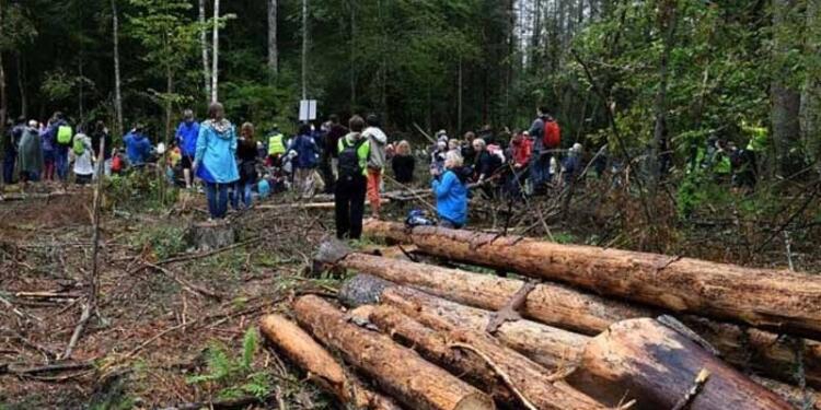 2024’te 146 çevre aktivisti katledildi