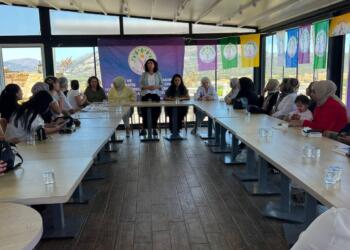 DEM Parti Kadın Meclisi Sözcüsü Türkoğlu: Barışın sözünü kadınlar kurmalı