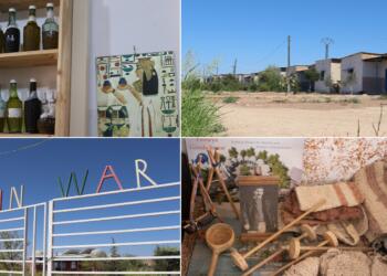 Rojava’da bir kadın köyü: Jinwar