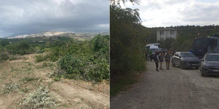 Samandağ’da TOKİ talanı: TOMA’larla girdiler, ağaçları söktüler