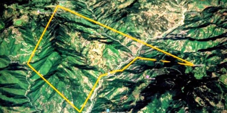 Şavşat’ta ormanlık alana ÇED onayı