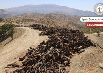 Uruk’tan Besta’ya eko kırım