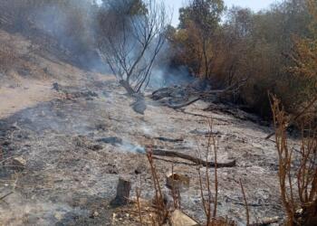 Şarbajêr’de 800 dönümlük alanda yangın