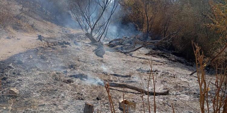 Şarbajêr’de 800 dönümlük alanda yangın