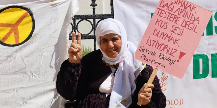 ‘Ağaçlarımızı keseceklerse barış nasıl gelecek?’