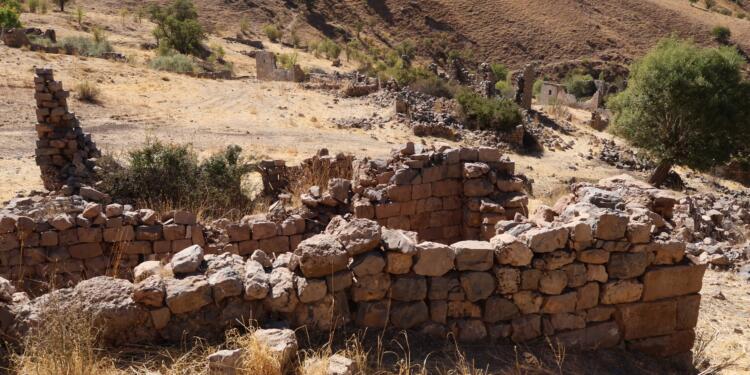 Hürmüz Diril 5 yıl 8 aydır bulunamadı: Valilik köyünde festival düzenleyecek