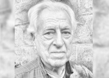 Prof. Wallis: Öcalan’ın çağrısını ve barış sürecini destekliyorum