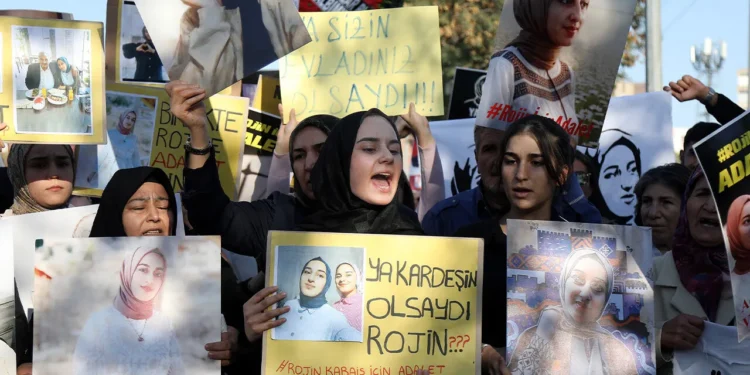 Eşbaşkanlar Şedal ve Zeydan: Rojin soruşturması ciddiyetle yürütülmedi