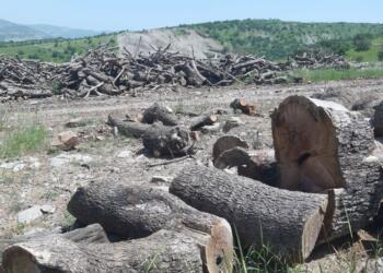 ‘Kürdistan’da tarım alanları bilinçli bir şekilde tahrip ediliyor’