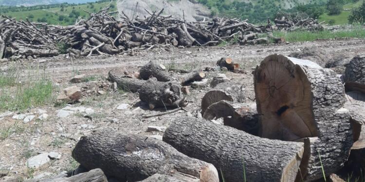 ‘Kürdistan’da tarım alanları bilinçli bir şekilde tahrip ediliyor’