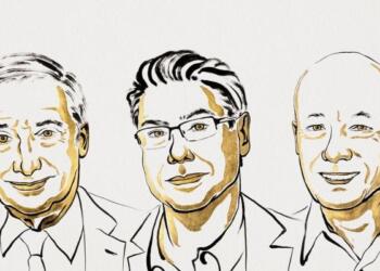 2025 Nobel Ekonomi Ödülü’nü kazananlar açıklandı