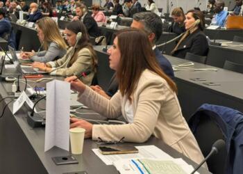 Serra Bucak BM’de barınma sorununa dikkat çekti