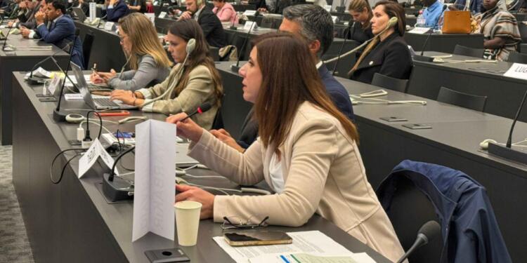 Serra Bucak BM’de barınma sorununa dikkat çekti