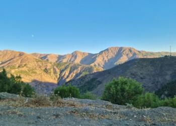 Eskar’daki ağaç kıyımı genişledi Beyrok’ta da kıyım başladı