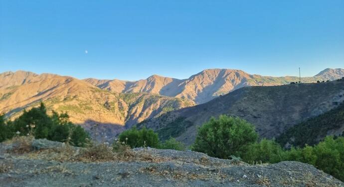 Eskar’daki ağaç kıyımı genişledi Beyrok’ta da kıyım başladı