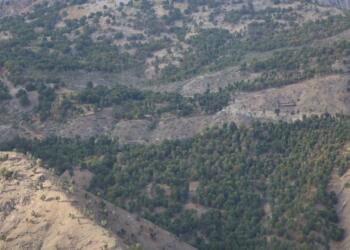 DEM Parti Dorşîn’deki ağaç kıyımını Meclis’e taşıdı