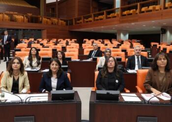 Genel Kurul’da tartışma: Ben bu Mecliste niye ana dilimde konuşamıyorum?